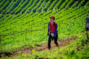 BIB: 
                            <button type="button" onclick="openModal(19161858)" class="btn btn-primary btn-sm float-right btn-popup" data-toggle="modal" data-target=".modal-high-quality">
                        <i class="fas fa-shopping-cart"></i> Add to Cart
                    </button>
                                            <button type="button" onclick="isThisMe(19161858, true)" class="btn btn-success btn-sm float-right btn-popup btn-isme hidden" data-toggle="tooltip" data-placement="bottom" title="นี่คือรูปของคุณใช่ไหม คลิกที่นี่เพื่อเอาเข้าอัลบั้ม">
                        <i class="fas fa-plus"></i> Add to album
                    </button>
                    <button type="button" onclick="isThisMe(19161858, false)" class="btn btn-warning btn-sm float-right btn-popup btn-isnotme hidden">
                        <i class="fas fa-ban"></i> Remove from album
                    </button>